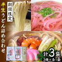 【ふるさと納税】【期間限定！】先行予約 半生うどん 2人前×2種・細うどん 200g/ うどん ウドン 乾麺 梅 詰め合わせ / 南島原市 / ふるせ [SAQ013]