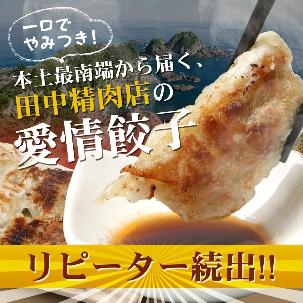 《リピーター続出！》佐多の田中肉屋 ニンニクたっぷりやみつき餃子 120個（12個入り×10パック） 餃子のタレ付き TA-402 | ぎょうざ 餃子 ギョウザ 豚肉 ひき肉 にんにく スタミナ餃子 