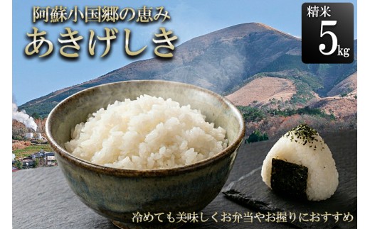 【JA阿蘇小国郷】令和7年産 阿蘇小国郷のお米「あきげしき」5kg 一等米限定 人気観光地でも提供 冷めても美味しい 高品質 おにぎり お弁当におすすめ 名水が育むお米 熊本県 阿蘇 小国町ふるさと納税