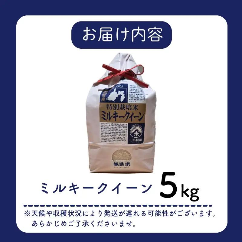 ミルキークイーン 5kg 【無洗米】牧之原市 静岡県 山本耕業
