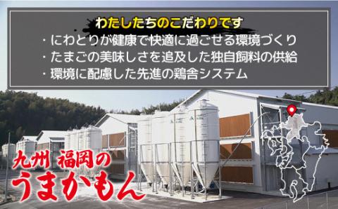 JAむなかたよりお届け！宗像たまご60個（55個＋補償5個）【JAほたるの里】_HA0916