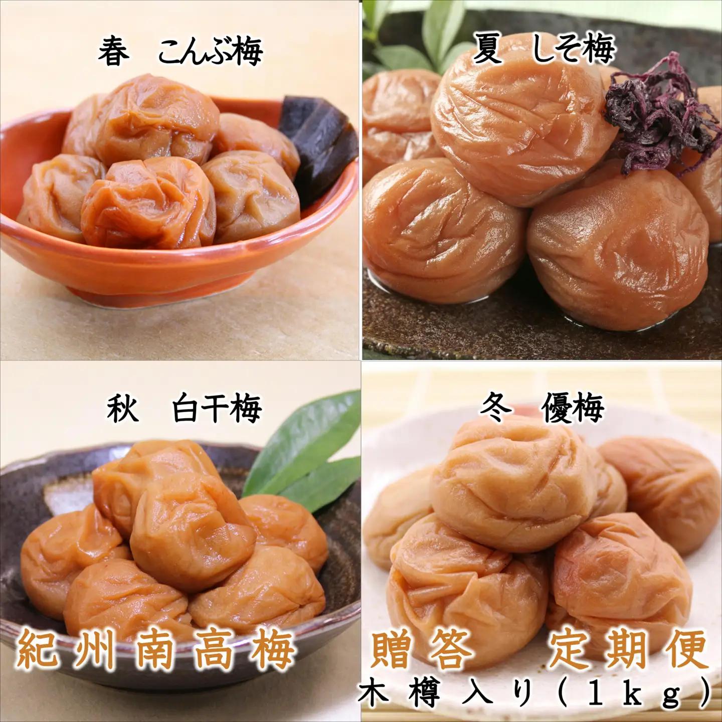 御坊市 紀州南高梅の贈答定期便（春・夏・秋・冬）4回 B【8023-5】