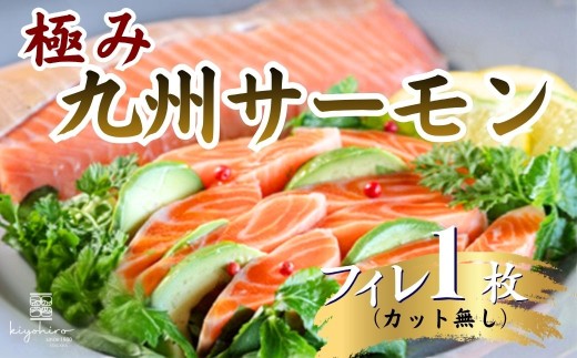 そのままお召し上がりいただける 清広の極み九州サーモン フィレ1人前 | 寿司 susi すし 押し寿司 鮭 サケ さけ サーモン さーもん 海鮮 魚介 博多 福岡 空弁 福岡県 須恵町 清広食品 K