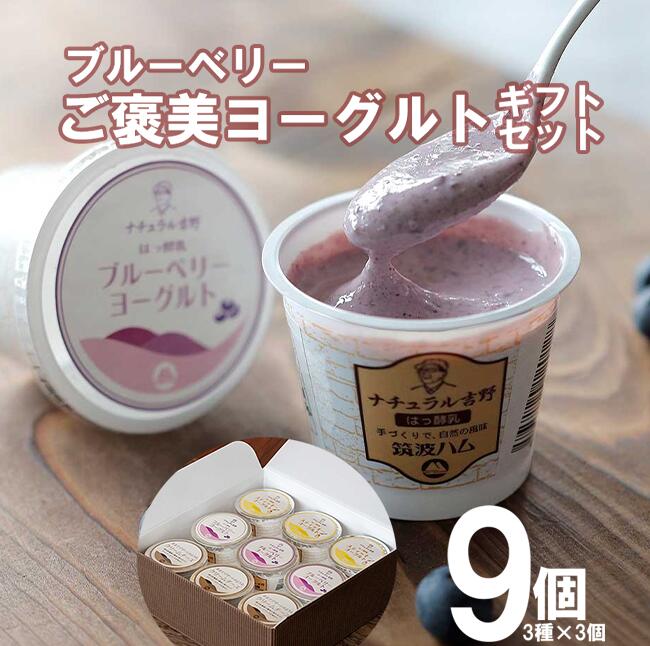 【ふるさと納税】【筑波ハム】ブルーベリー ご褒美ヨーグルトギフトセット | 筑波ハム ヨーグルト クリームチーズ チーズ ブルーベリー ご褒美 乳 腸活 美容 健康 ギフト 贈答 茨城県産 国産 つくば市