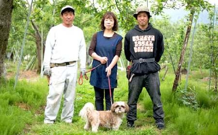 信州産 りんごジュース 1L瓶詰め [4本] 箱入り／ 笠原果樹園 果汁100% リンゴジュース 瓶 長野県産 産地直送 砂糖・食塩・香料不使用 ギフト プレゼント りんごジュース りんごジュース り