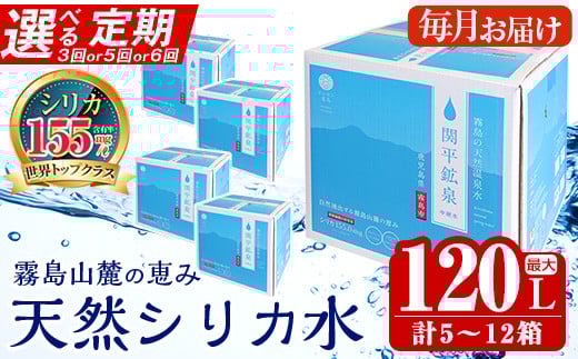 
            《選べる定期》関平鉱泉水10L(2箱×3回・1箱×5回・2箱×6回)定期便♪【関平鉱泉所】 霧島市 シリカ シリカ水 水 シリカミネラルウォーター K-185 B-025 K-493
          