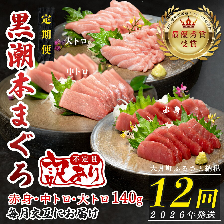 【ふるさと納税】【定期便 12回】高知県産 本マグロ 大トロ・中トロ・赤身 (不定貫) 月替わり