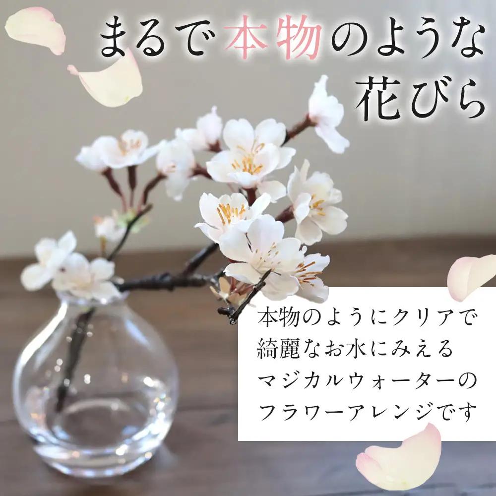 新春　淡雪桜　さくら　魔法の水　マジカルウォーター『淡雪』