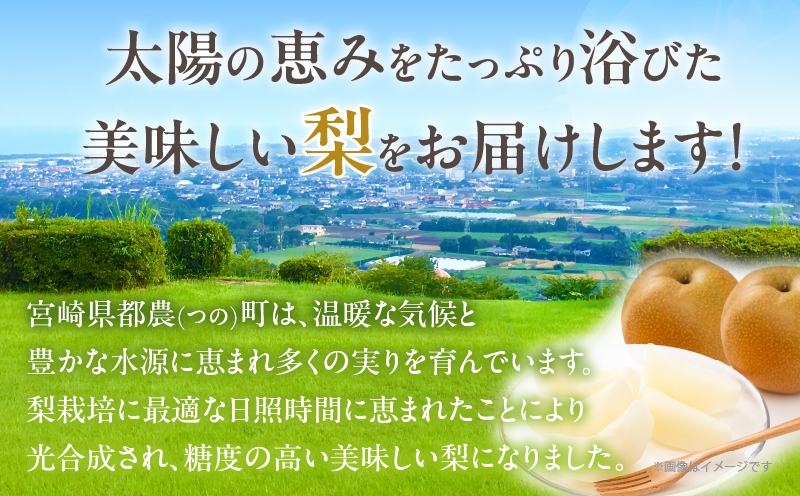先行予約≪期間限定≫まるみ観光果樹園の『豊水梨』(約3kg) なし 果物 フルーツ 天然 ミネラル栽培_T036-001