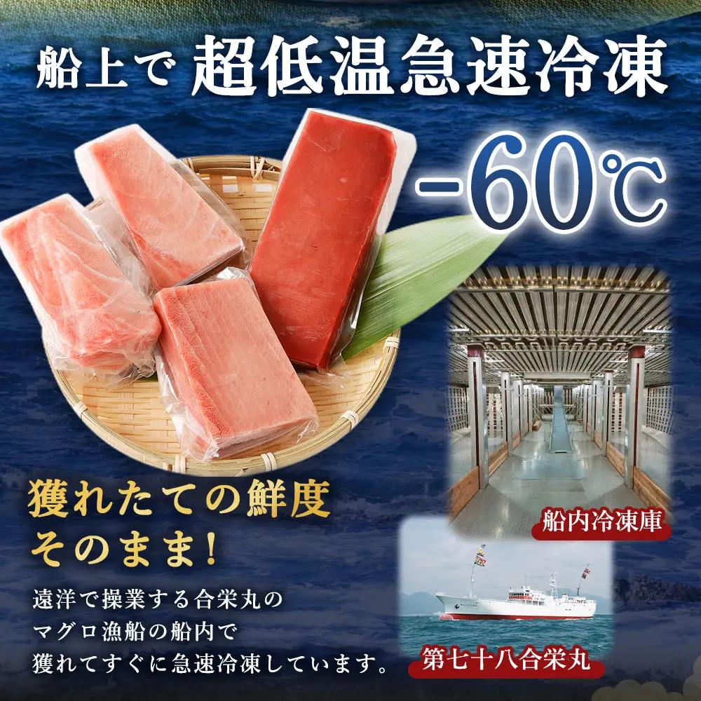 天然マグロ 2種 約600g 【まぐろ】ge005 FN-Limited-PR