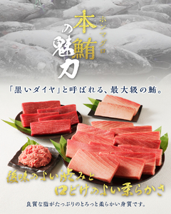 天然本まぐろ 南まぐろ食べ比べセット 4回お届け (b100-071)