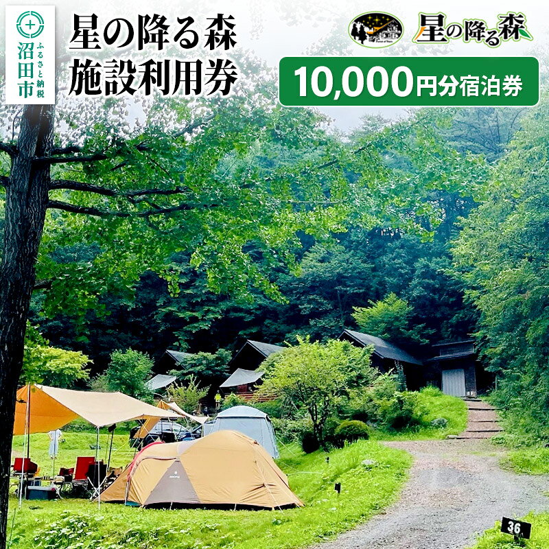 【ふるさと納税】星の降る森 施設利用券 10,000円分 宿泊利用補助券 [オートキャンプ場 コテージ バンガロー キャビン コインシャワー 併設]