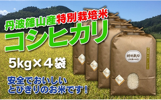 【令和7年産 2025年9月以降順次発送】お米のおいしさ伝えたい！特別栽培米コシヒカリ5kg×4 兵庫県 丹波篠山市 白米 100％単一原料米 産地直送米 贈答 おいしい お米 精米 コシヒカリ ブランド おこめ 健康 ギフト 内祝い 贈り物 送料無料 おすすめ 人気 口コミ