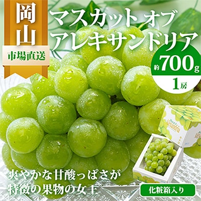 【先行受付】岡山県産マスカットオブアレキサンドリア1房(秀品以上・700g以上)化粧箱入り【配送不可地域：離島・北海道・沖縄】【1150087】