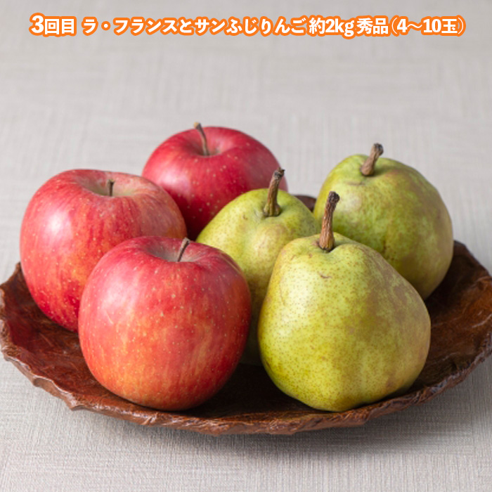 【定期便3回】とびっきりの山形フルーツセット 【令和6年