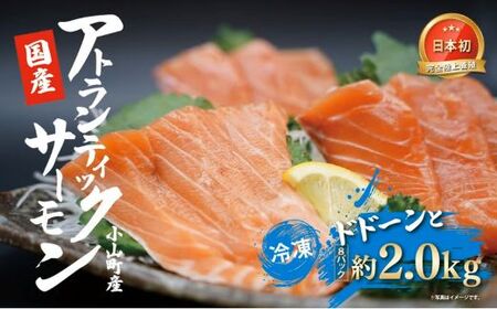 国産 アトランティック サーモン （ 8パック 約2.0kg ） 生食用 サーモン