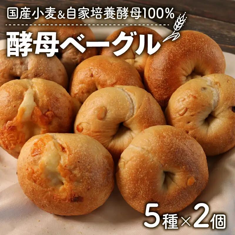 酵母ベーグル 10個セット(5種×2個) 自家培養酵母100％＆国産小麦 京都