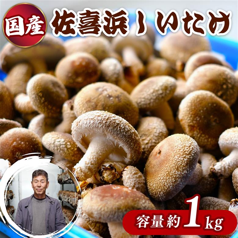 佐喜浜しいたけ 約1kg 国産 高知県 椎茸 シイタケ