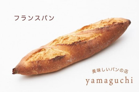 バラエティ食事用パンセット/冷凍パン 食パン フランスパン ベーグル 天然酵母 食べ比べ