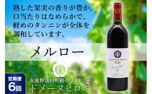 
【6回 定期便 】【熟した果実の香り】 赤 ワイン メルロー 750ml×1本 [ヴィニョブル安曇野 DOMAINE HIROKI 長野県 池田町 48110170] 赤ワイン お酒 酒
