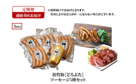 定期便 全4回 どろぶた 堪能食べ比べセット ブランド放牧豚 豚肉