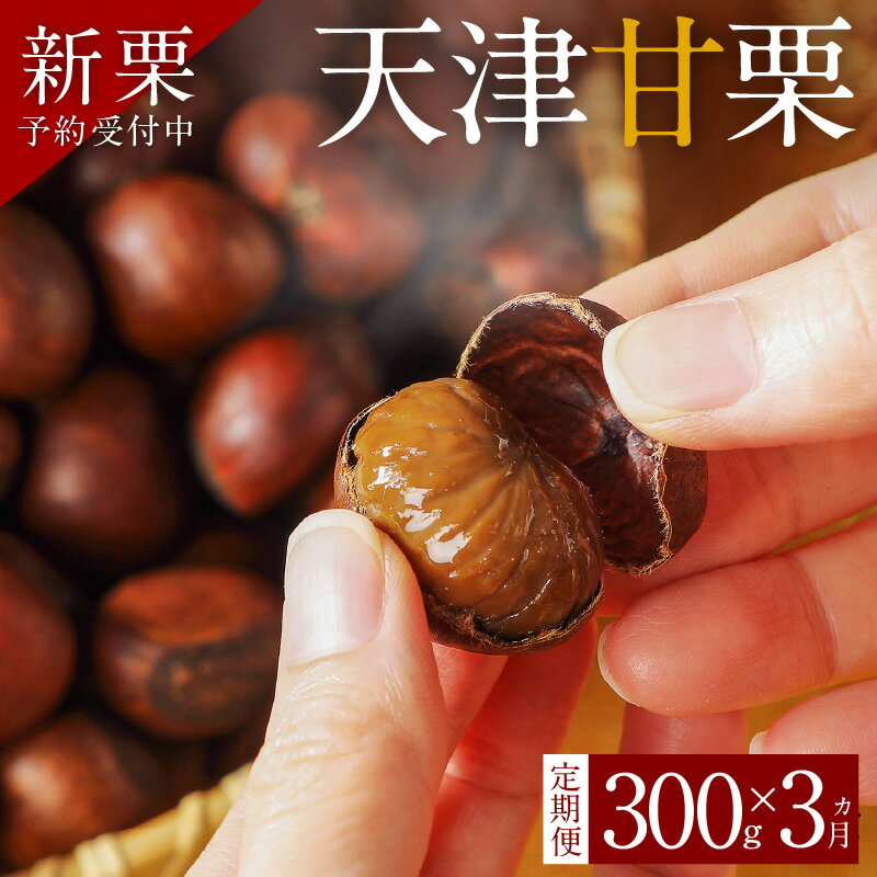 【ふるさと納税】〈新栗〉【旬限定の定期便】 先行予約 天津甘栗 300g × 3ヶ月 栗爪付き 甘栗 栗 やさしい 甘み スイーツ 和菓子 お菓子 おやつ 秋 秋の味覚 和スイーツ 予約受付 マロン 菓子 おつまみ 栗ご飯 栗きんとん 甘露煮 人気 お取り寄せ 愛知県 碧南市 送料無料