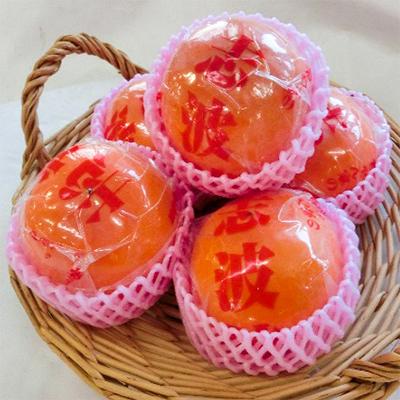 ふるさと納税 朝倉市 冷蔵富有柿(11〜12玉入り) |  | 01