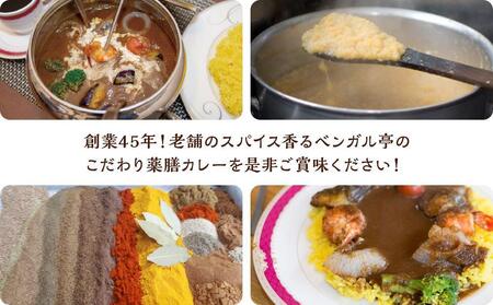 L スパイス薬膳カレー！（スパイスソース・辛口）6袋