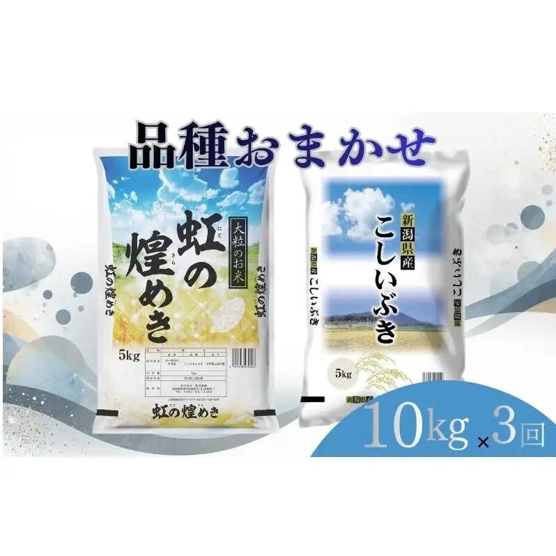 【7月上旬より配送】 新潟県産 品種おまかせ 10kg  3か月定期便 新潟県 新潟市産 令和7年産 お米 精米 米 ご飯 送料無料