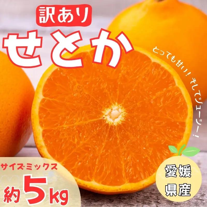 【2027年2月中旬より順次発送】訳あり せとか 5kg｜B146