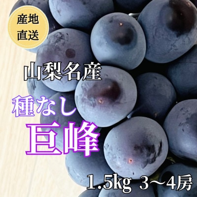 ◆2026年年発送◆産地直送 山梨名産!種なし巨峰 3～4房(約1.5kg)【配送不可地域：離島】