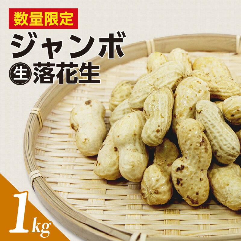 【ふるさと納税】【先行予約】ジャンボ 生落花生 1kg【9月下旬から順次発送】大粒 ピーナッツ 秋 旬 地豆 大地豆 おつまみ おやつ おかず 殻付き 塩茹で ほくほく 野菜 国産 知多市 送料無料