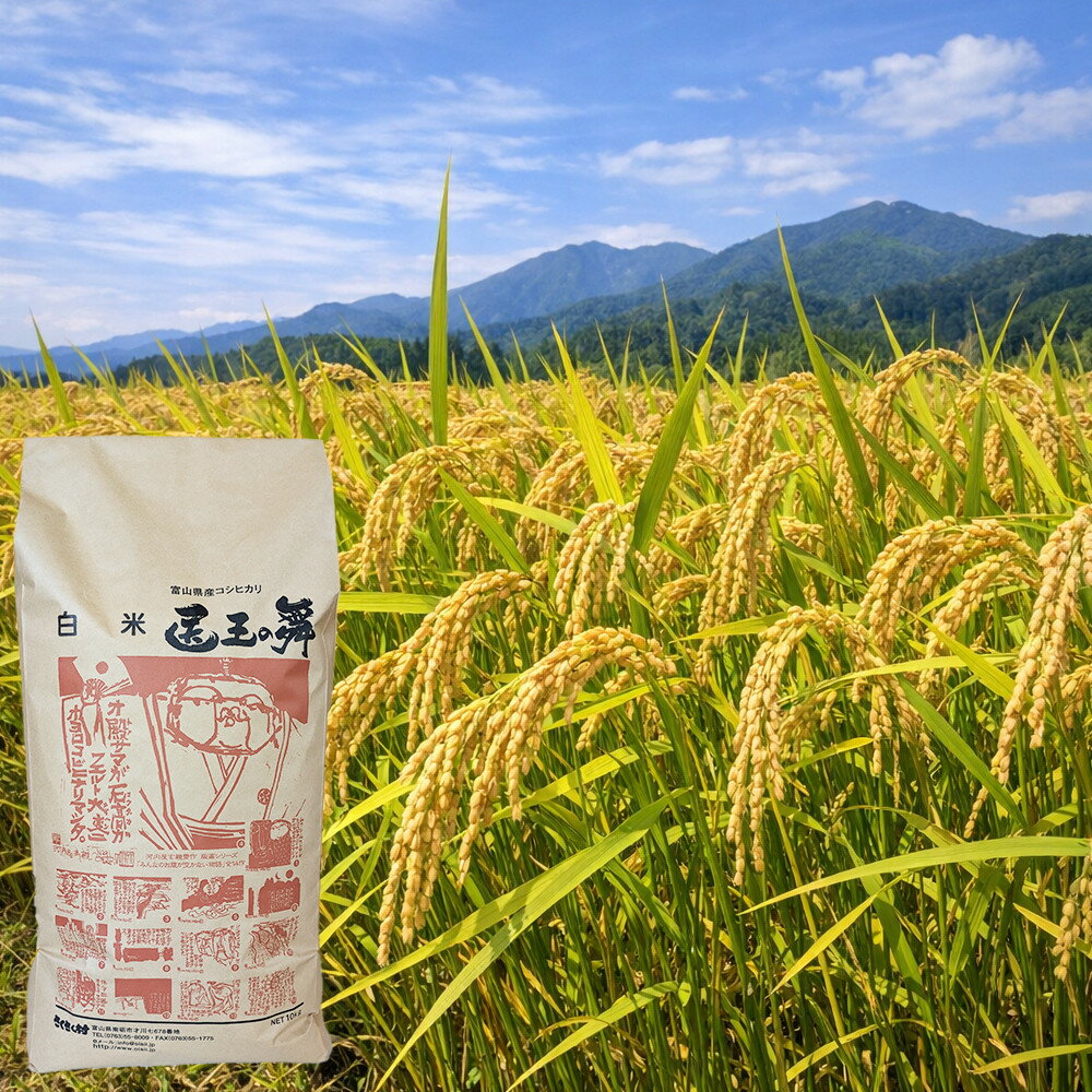 【ふるさと納税】富山県産コシヒカリ『医王の舞』白米10kg | 精米 こしひかり コメ こめ お米 産地直送