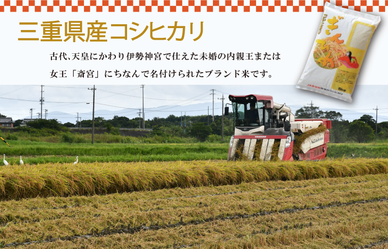 三重県産 コシヒカリ ぎんひめ 精米 5kg ふるさと納税 ふるさと 米 コメ こめ おこめ ギフト プレゼント 贈答 贈り物 御祝い お祝い返礼品 人気 お取り寄せ 三重米 お米 新米 白米 ブラン