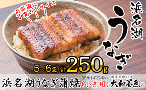 浜名湖うなぎ蒲焼（小丼用）計250g 【訳あり】サイズ不揃い5～6袋 加工品 養殖 老舗 手焼き 百貨店 ギフト カット 湯せん レンジ 美味しい 冷凍 食べきり 便利 簡単 調理 土用の丑の日 静岡県 浜松市