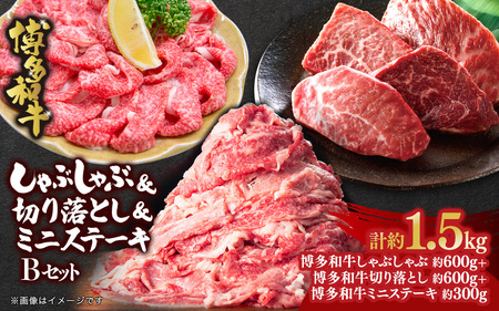 博多和牛 しゃぶしゃぶ＆切り落とし＆ミニステーキ Bセット 072-251