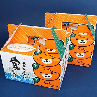 【ふるさと納税】【2025年11月以降発送】みきゃんがお届け!プチみかん2箱セット約5.6kg【C28-25】_ みかん ミカン 柑橘 フルーツ くだもの 果物 ふるーつ 青果 果実 甘い ジューシー 産直 旬 【配送不可地域：離島】【1051844】 YWTN017