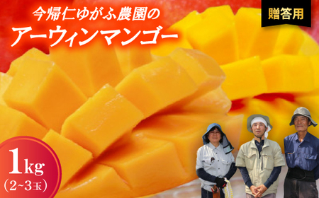 【2026年7月から順次発送・贈答用】今帰仁ゆがふ農園のアーウィンマンゴー1kg(2～3玉)【配送不可地域：離島】【1694711】