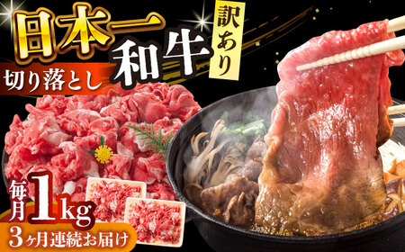 【全3回定期便】【訳あり】【A4～A5】長崎和牛焼肉切り落とし(肩ロース・バラ）　1kg（500g×2p）【株式会社 MEAT PLUS】[DBS046]