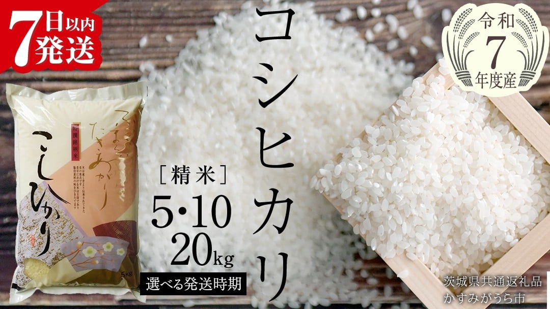 
            ＼ 最短7営業日以内に発送 ／《 令和7年産 》 コシヒカリ 精米 5kg ～ 20kg ( 選べる 内容量・定期便・発送時期 ) (茨城県共通返礼品 かすみがうら市)  スピード発送 早い 新米 米 ごはん もっちり 甘い コメ お米 白米 銘柄米 [EX001sa00]
          