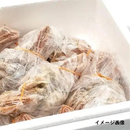 松葉ガニの本場　訳あり釜茹でセコガニ姿(冷凍)大サイズ4杯　高鮮度3D凍結　せいこがに　親ガニ　メス【配送不可地域：離島】【1138434】