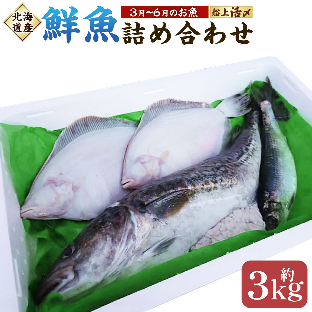 【ふるさと納税】北海道産 船上活〆鮮魚詰め合わせ 約3kg 3～6匹程度 活締め 血抜き処理済み 魚介類 水産物 さかな 魚 詰め合わせ 詰合せ セット 冷蔵 国産 北海道 蘭越町 送料無料 【2026年6月上旬まで発送予定】