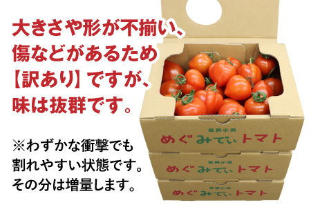 【訳あり】めぐみでぃトマト 3kg 若狭の恵 越のルビー【12/17までのご寄付で年内配送】 不揃い 産地直送[A-002029]