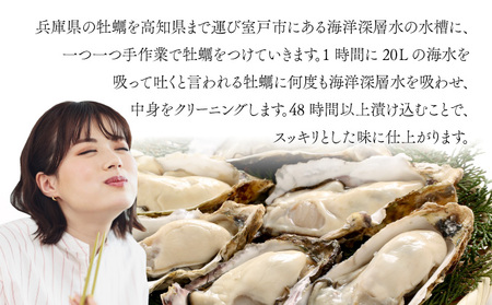 【国産】殻付き牡蠣 旅する牡蠣 プレミアムオイスター 室津 8～10個入り 室戸海洋深層水 生食用 生食 生ガキ 生食用カキ カキ 牡蠣 かき 魚貝類 冷蔵 先行予約 10000円 1万円 送料無料 