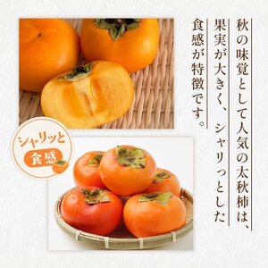 益城町産 太秋柿 約2kg(益城町)【配送不可地域：離島】【1661736】