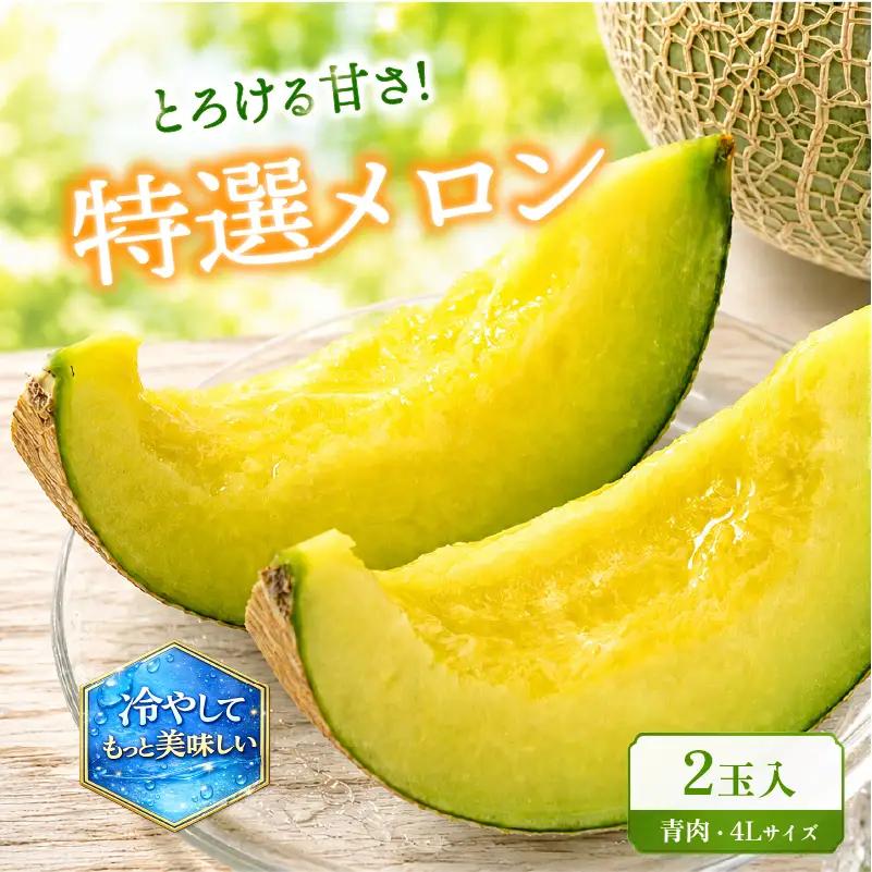 【先行予約】 メロン 青肉 2玉 特選 4Lサイズ メロン メロン メロン メロン