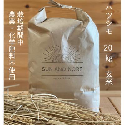 ふるさと納税 養老町 【令和7年産】初霜(源種)　玄米20kg　(栽培期間中農薬・化学肥料不使用)