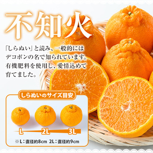 ＼数量・期間限定／【訳あり】池之上果樹園の”旬の”不知火 10kg（L・2Lサイズ混同）10kg箱バラ詰め満杯！秀品 産直 農家直送 濃厚 デコポン と 同品種 フルーツ 柑橘 みかん 【A-1794