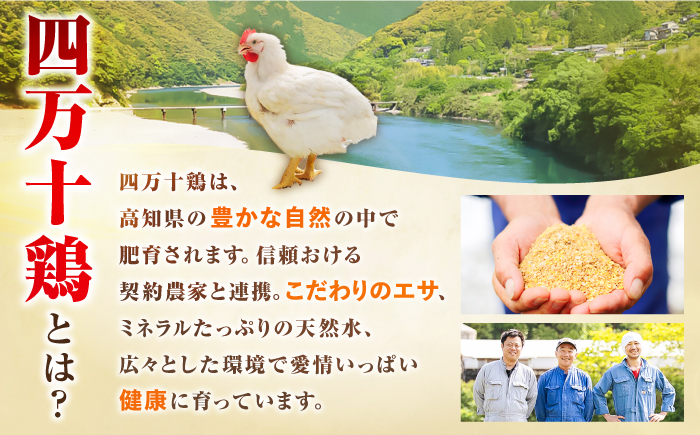 四万十鶏のもも肉とむね肉 計約4kg （約2kg×2パック） / 四万十鶏 もも肉 むね肉 冷凍 大容量 【三栄ブロイラー販売株式会社】 [ATDP005]
