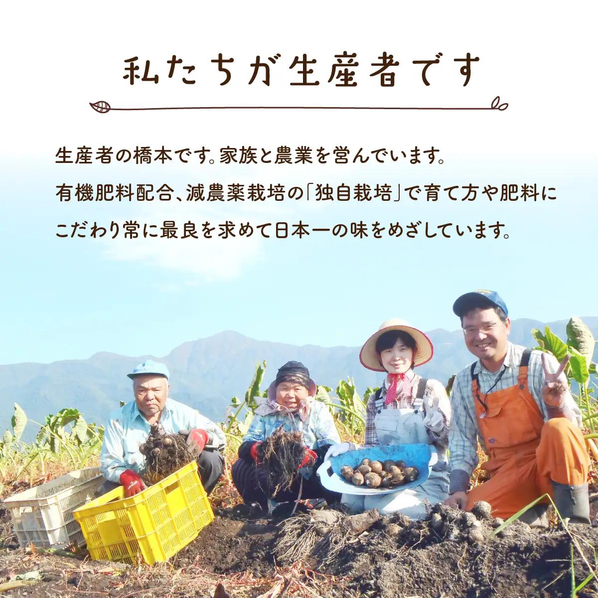 【先行予約】【3月発送分】上庄産さといもの「洗い子」計2.01kg  有機肥料配合　減農薬栽培[A-005006_05]